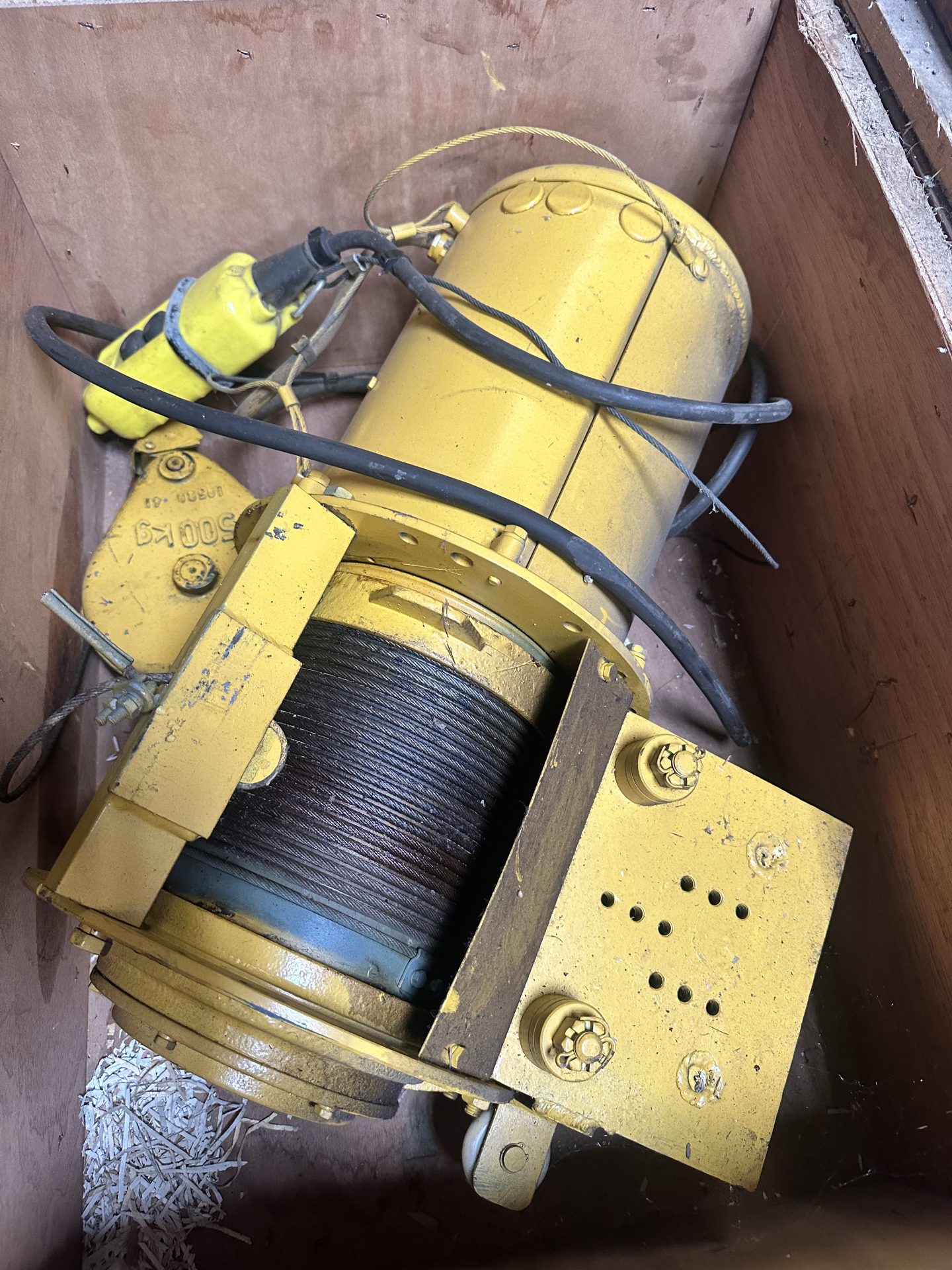palan d'atelier 500kg