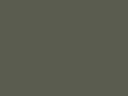 GCI Paint OD / MERDC / CARC